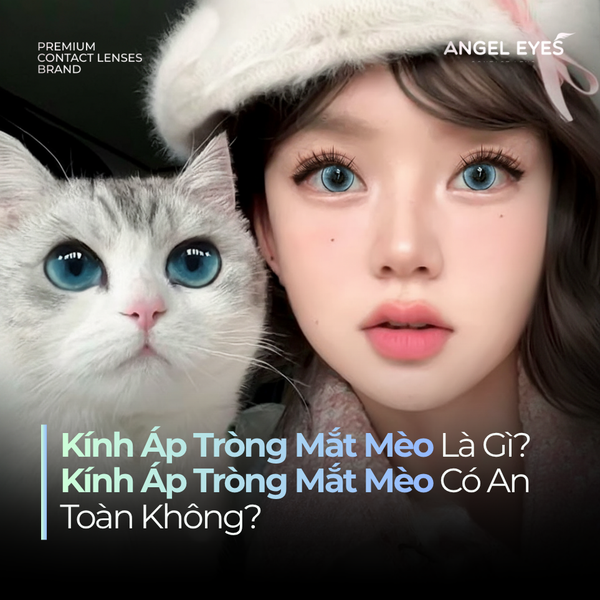 Kính Áp Tròng Mắt Mèo Là Gì? Kính Áp Tròng Mắt Mèo Có An Toàn Không?