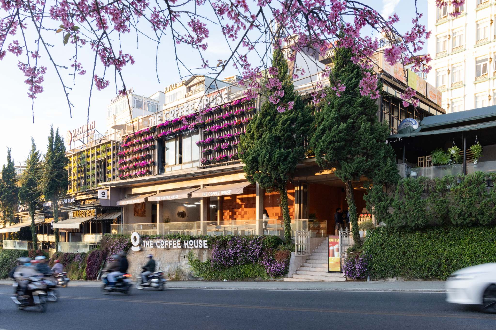 The Coffee House Đà Lạt mở cửa đón khách giữa núi rừng mộng mơ