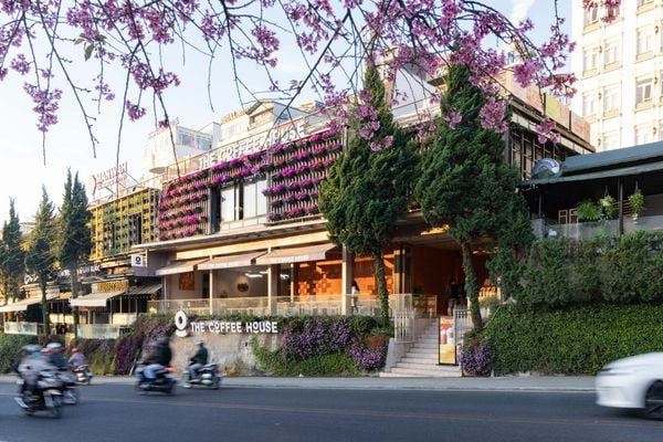 The Coffee House Đà Lạt mở cửa đón khách giữa núi rừng mộng mơ