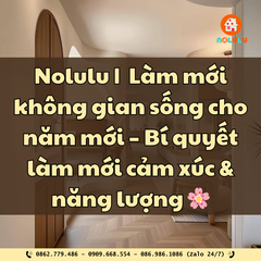 🌸 Nolulu | Làm mới không gian sống cho năm mới – Bí quyết làm mới cảm xúc & năng lượng