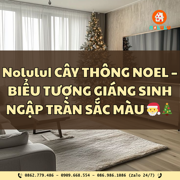 🎄 CÂY THÔNG NOEL – BIỂU TƯỢNG GIÁNG SINH NGẬP TRÀN SẮC MÀU 🎅
