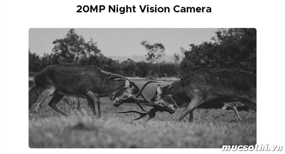 Smartphone Sờ To - Bán lẻ giá sỉ online giá tốt điện thoại Doogee Blade 20 Max chính hãng - 09175.09195