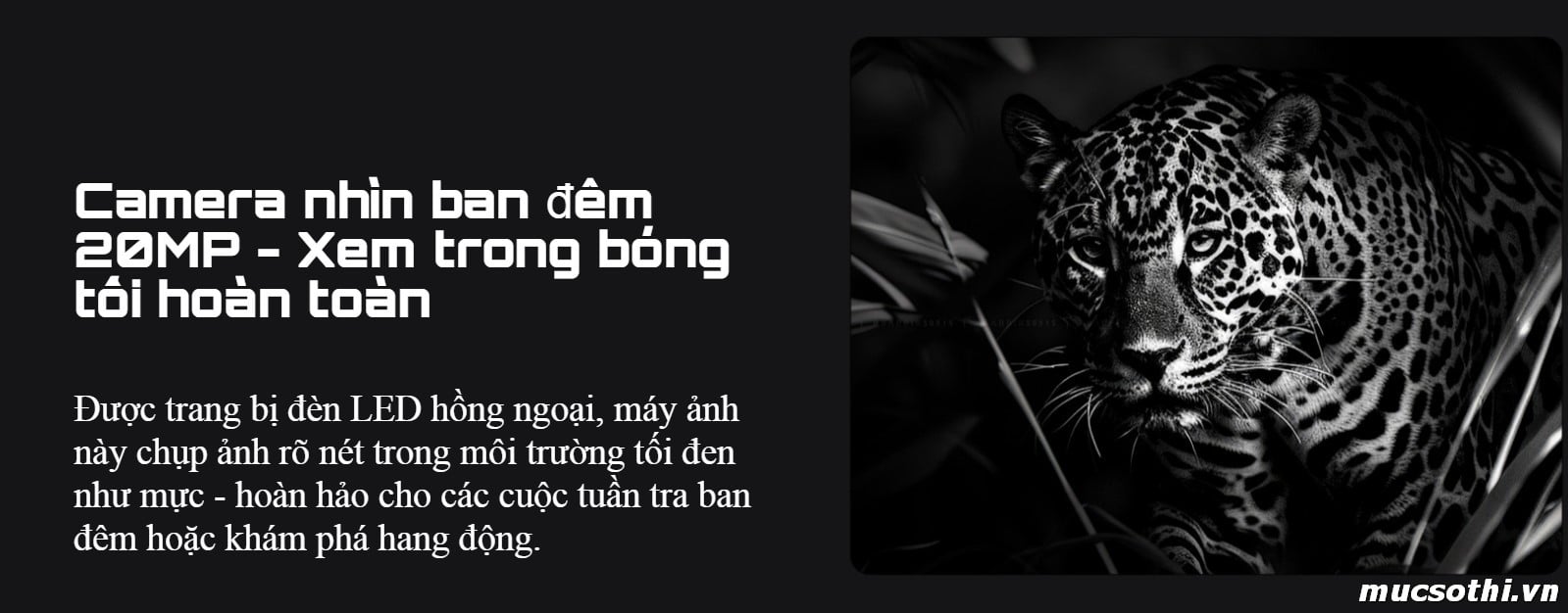 Mục sở thị KingKong 11 smartphone 5G siêu bền pin khủng có 2 màn hình chính hãng Cubot Giá Tốt - 09175.09195