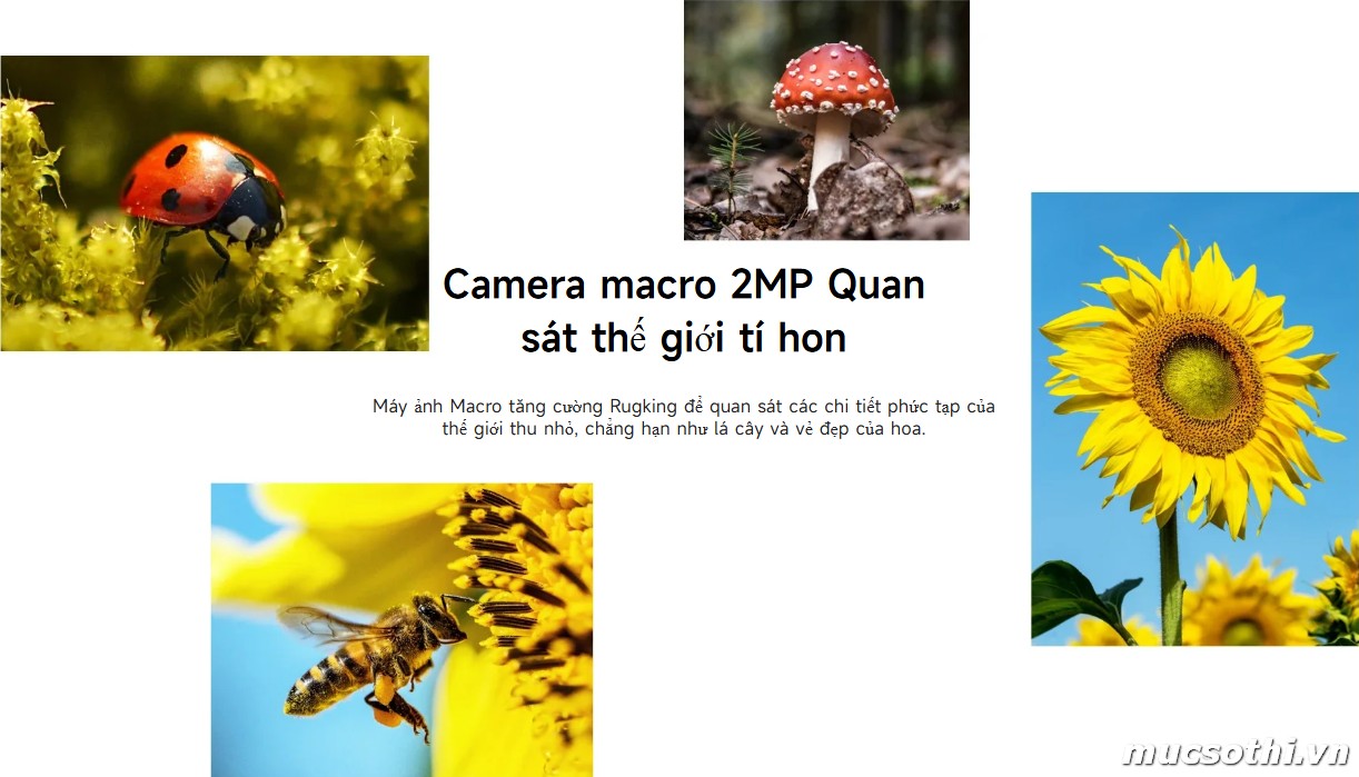 Smartphone Sờ To - Bán lẻ giá sỉ online giá tốt điện thoại Ulefone Rugking chính hãng - 09175.09195