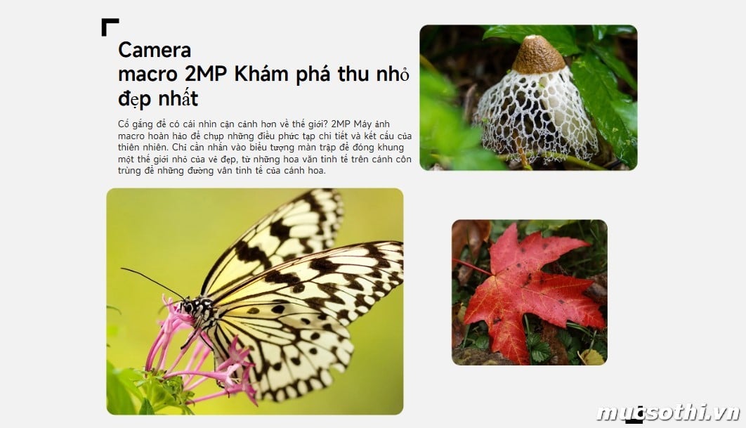 Mục sở thị RugKing 3Pro smartphone siêu bền mỏng pin trâu giá rẻ mới của Ulefone - 09175.09195