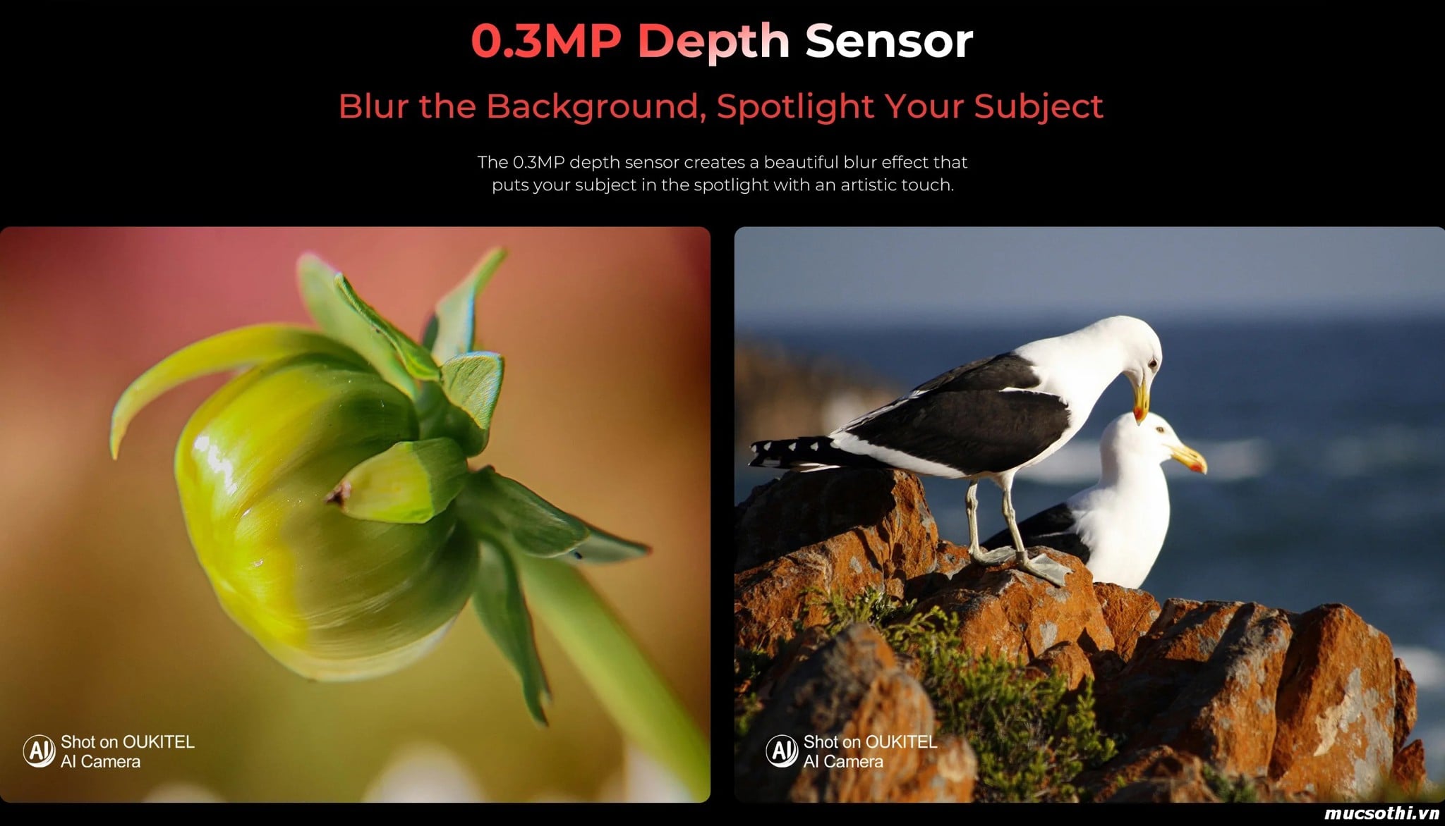 Smartphone Sờ To - Bán lẻ giá sỉ online giá tốt điện thoại Oukitel WP210 5G chính hãng - 09175.09195