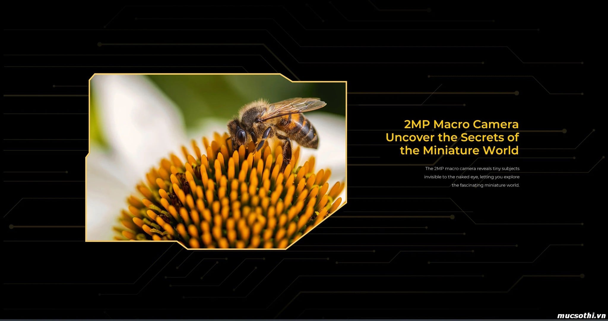 Smartphone Sờ To - Bán lẻ giá sỉ online giá tốt điện thoại Oukitel WP60 5G chính hãng - 09175.09195