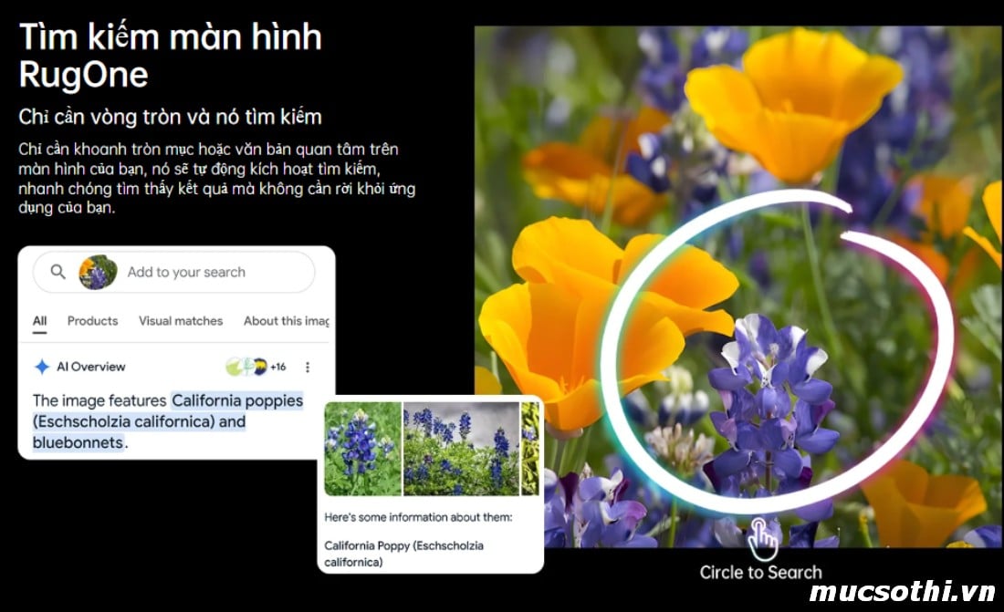 Smartphone Sờ To - Bán lẻ giá sỉ online giá tốt điện thoại RugOne Xever 7Pro 5G chính hãng - 09175.09195