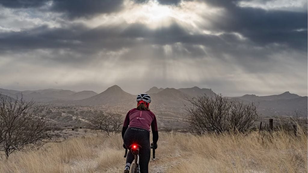 Được nhìn thấy rõ ràng