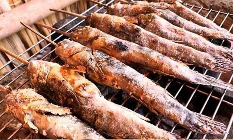 Cá Thòi Lòi Nướng Than Hồng – Đặc Sản Khiến Ai Cũng Muốn Thử