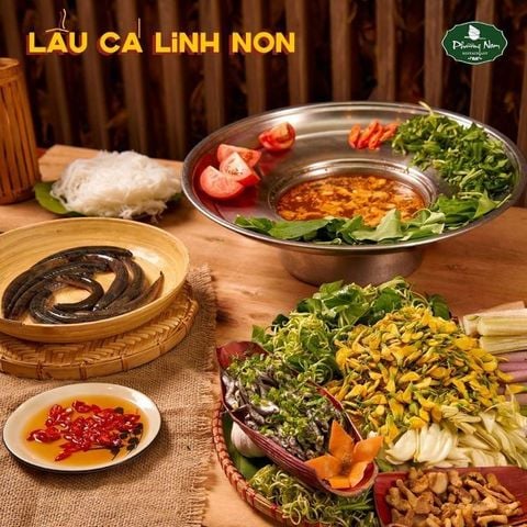 Lẩu cá linh bông điên điển:hương vị đồng quê chuẩn miền Tây sông nước