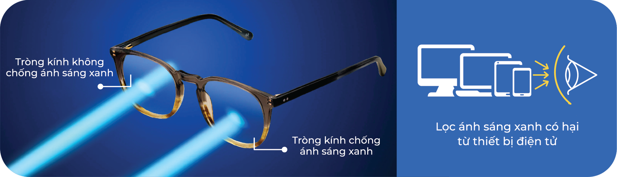 Tròng Kính Siêu Mỏng Chống Ánh Sáng Xanh Cerato Blue Protect Night Ar 1.74 AS
