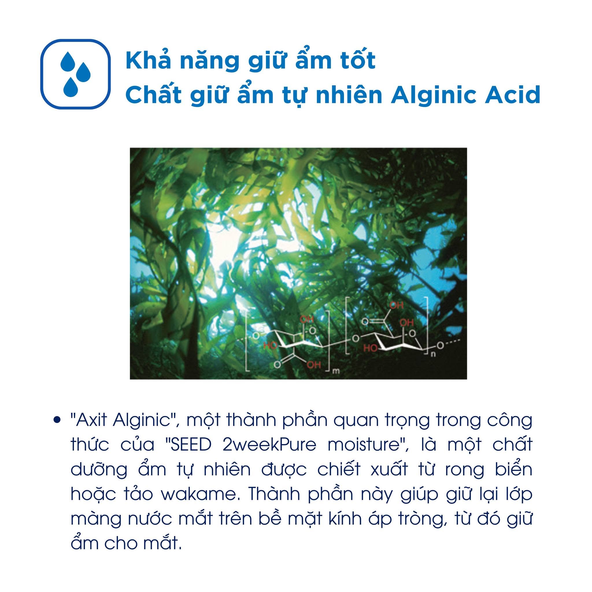 Kính Áp Tròng Trong Suốt SEED 2weekPure UP (2 Tuần)