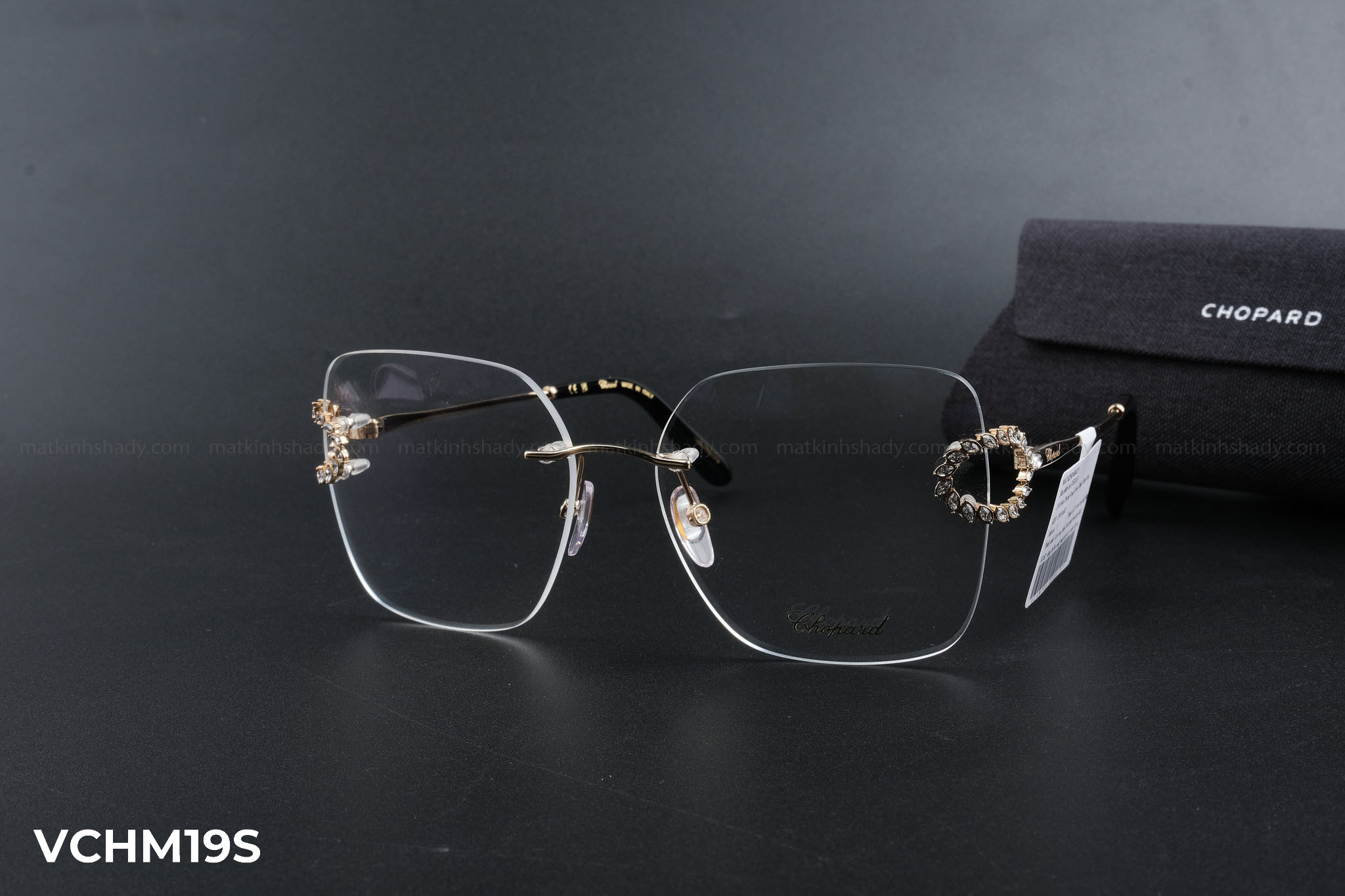 Chopard Eyewear - Glasses - VCHM19S