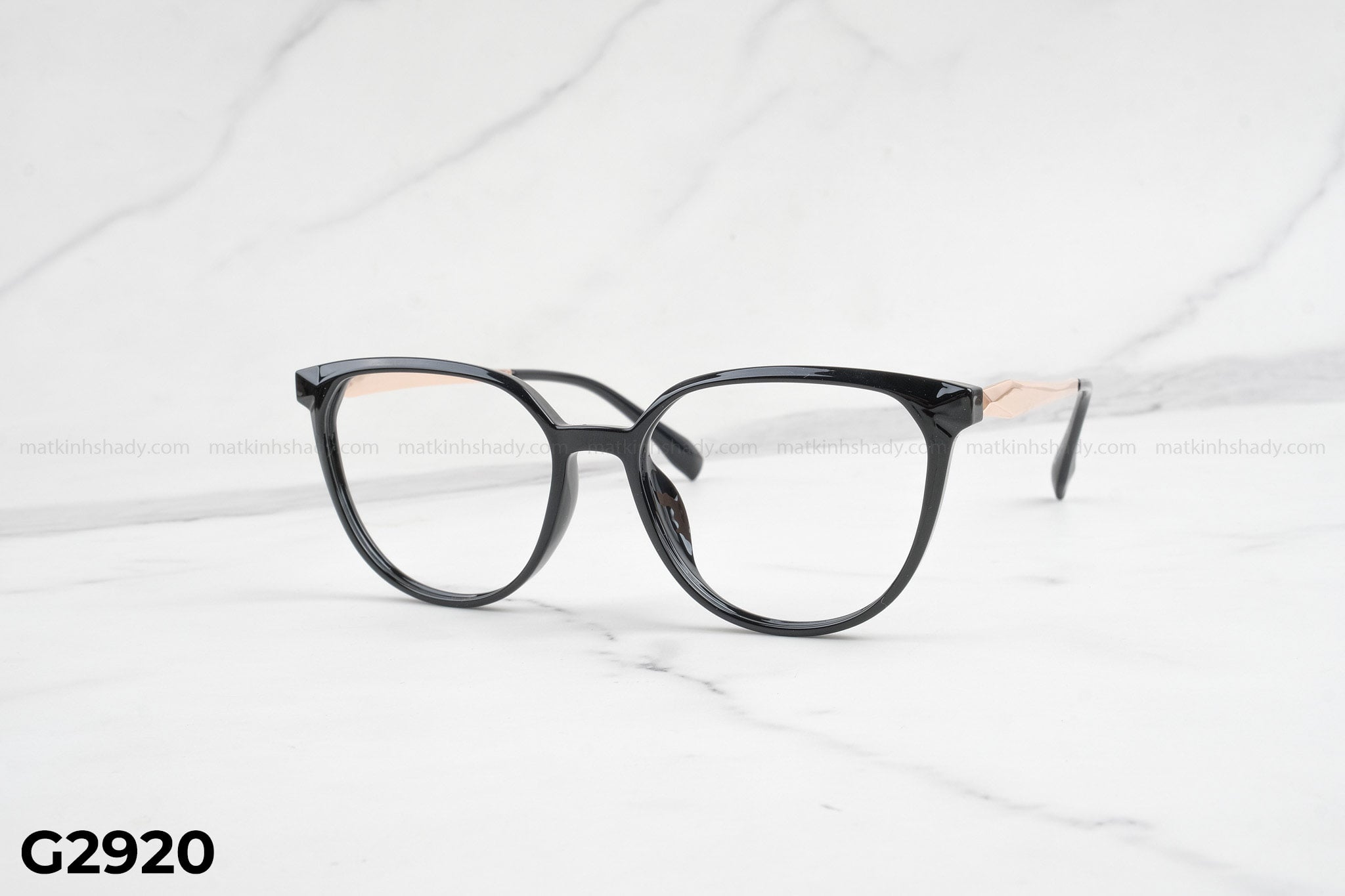 Gọng Kính G2920