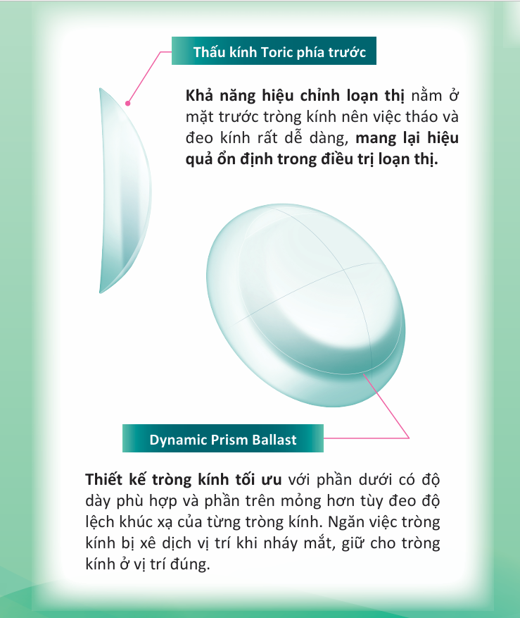 Kính Áp Tròng Trong Suốt SEED 2weekPure UP for Astigmatism (2 Tuần)