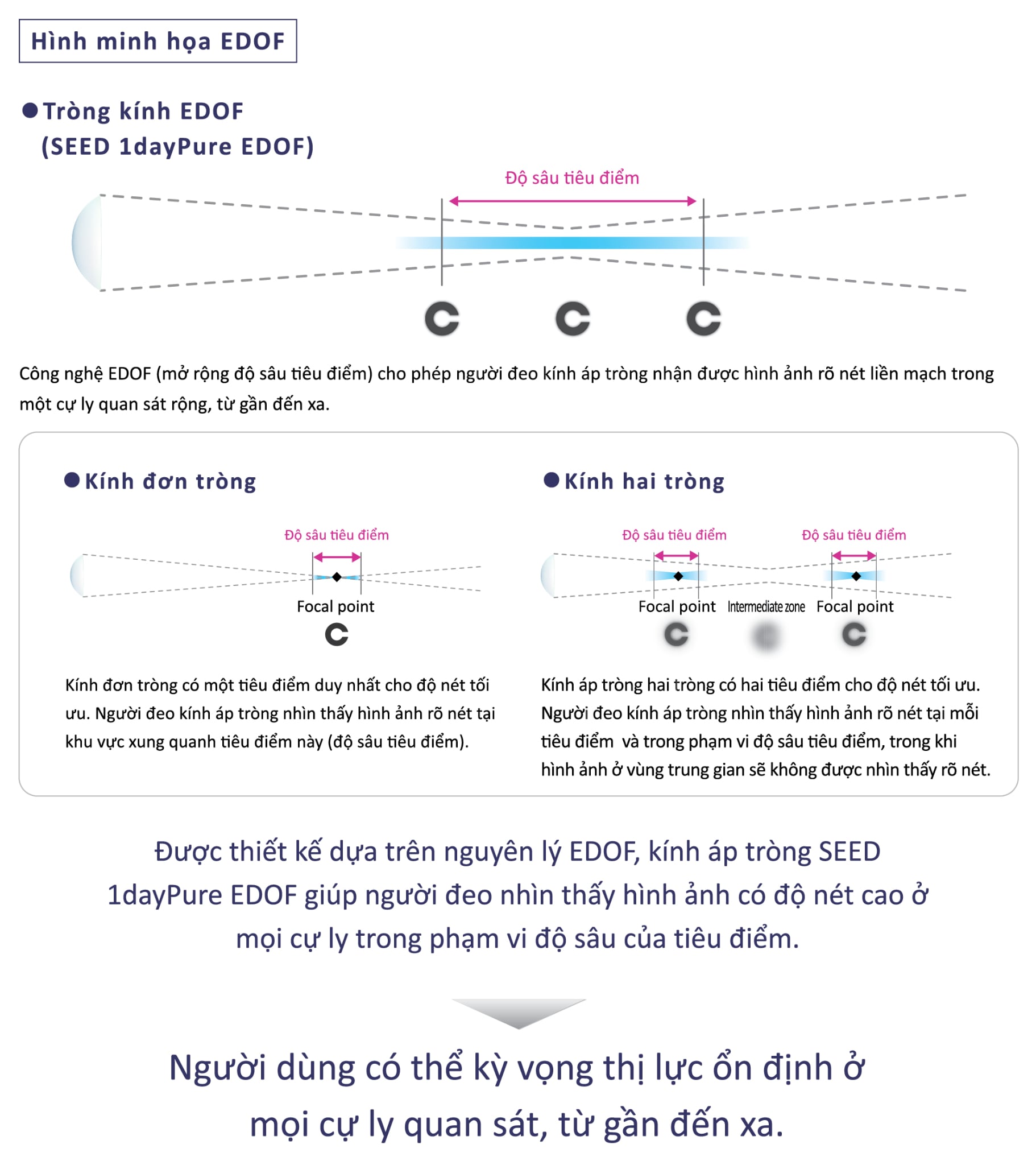 Kính Áp Tròng Trong Suốt SEED 1dayPure EDOF (1 Ngày)