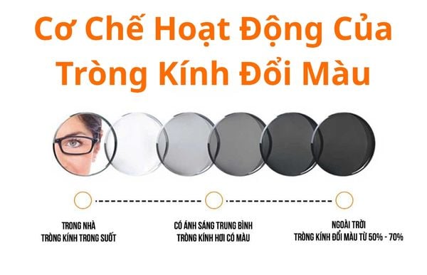 tròng kính đổi màu