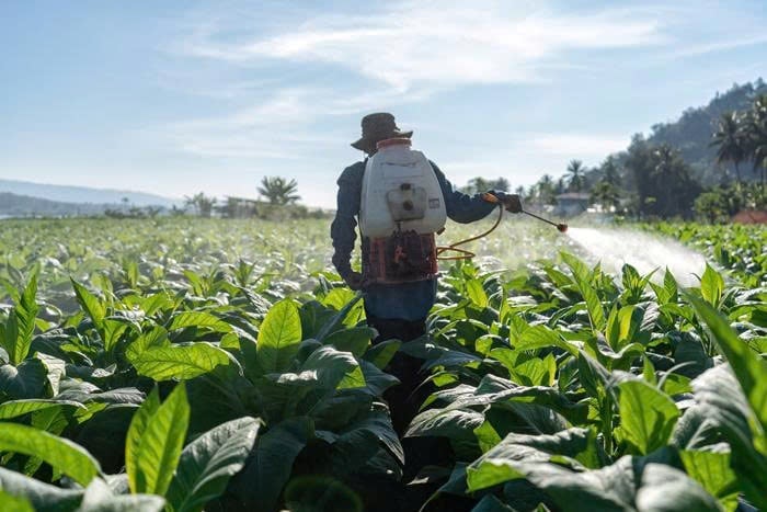 Hóa chất độc trong thực phẩm toàn cầu gây tổn thất 3.000 tỷ USD mỗi năm cho sức khỏe và môi trường