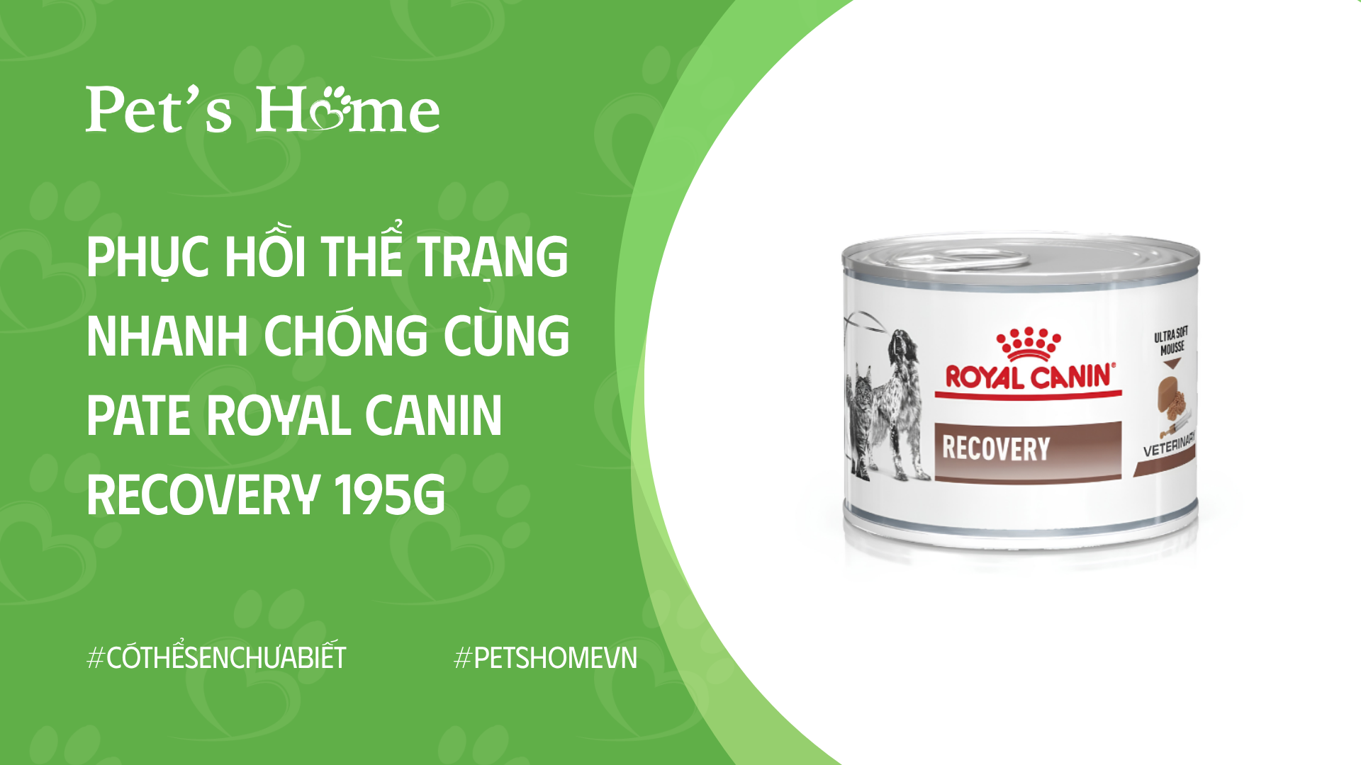 Phục hồi thể trạng nhanh chóng cùng pate Royal Canin Recovery 195g ...