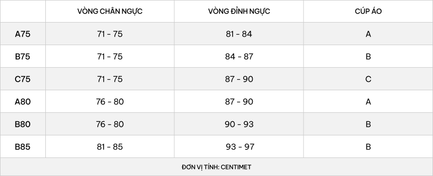 Áo ngực cup 3/4 nữ VERA nylon trơn mút vừa - V0652