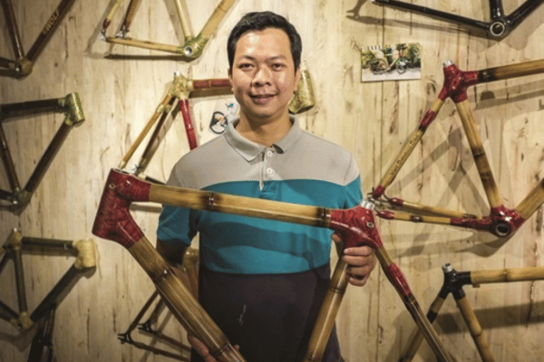 Nâng tầm giá trị cây tre