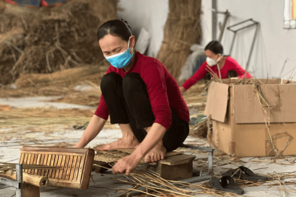 Phát triển vùng nguyên liệu cho làng nghề, ngành nghề nông thôn