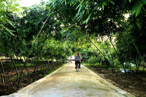 Nông dân từ vỡ nợ đến trở thành tỷ phú nhờ trồng tre lục trúc lấy măng