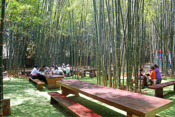 Hồn tre Tây Nguyên