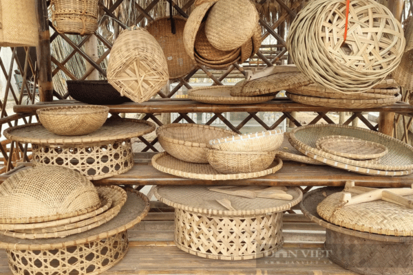 Biến cây tre làng thành 