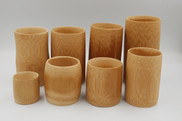 Ly Tre – Giải Pháp Xanh Cho Cuộc Sống Hiện Đại Năm 2025