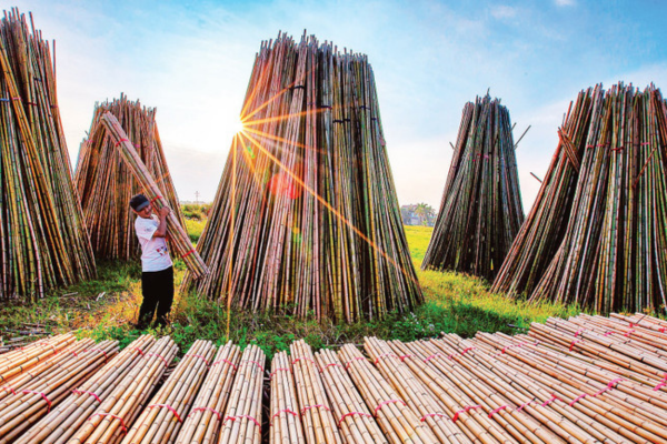 Làng nghề tre trúc Xuân Lai
