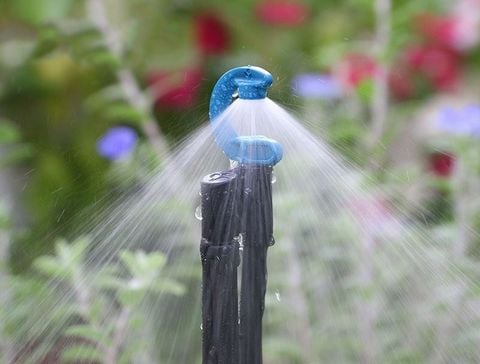 Những lỗi thường gặp trong hệ thống tưới tự động và cách khắc phục