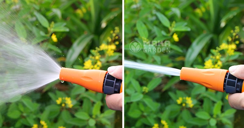 2-kieu-phun-bo-tuoi-gf5817