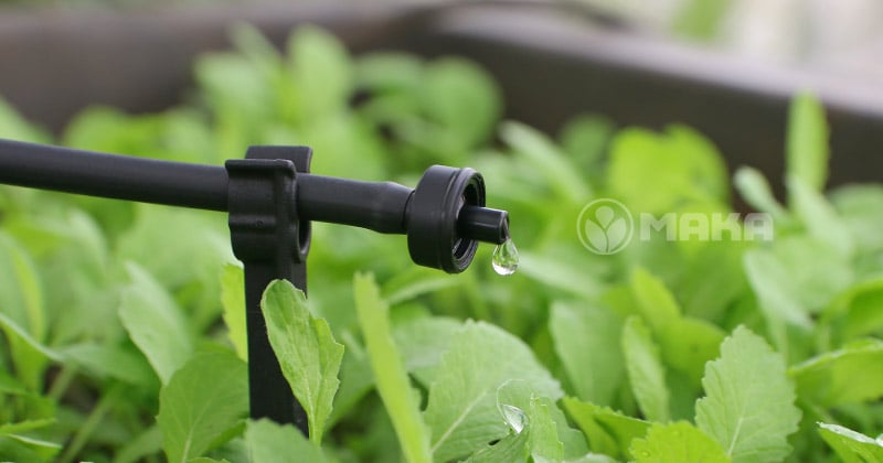 bec-nho-giot-gali-pc-metzer-4lh-gan-ong-4mm