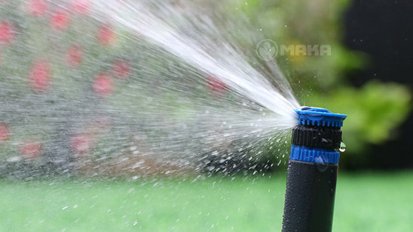 bec-tuoi-co-landing-page