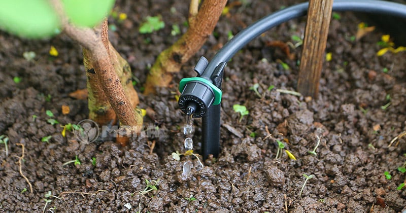 bec-tuoi-nho-giot-antelco-8-lh-duoc-ket-noi-tren-ong-4mm