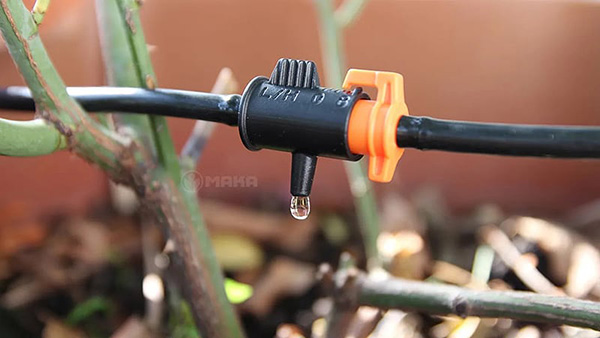 bec-tuoi-nho-giot-landing-page