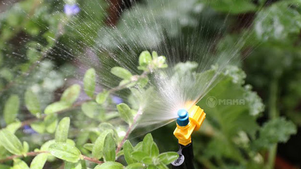 bec-tuoi-phun-mua-landing-page-2