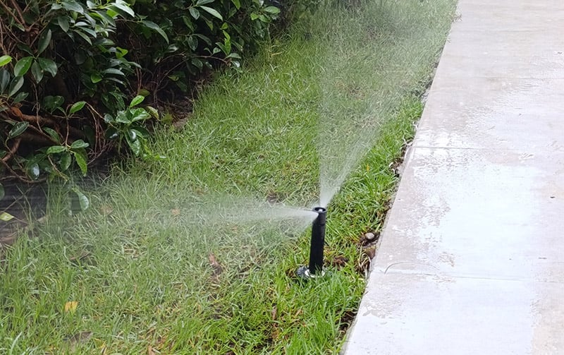 dau-tuoi-co-pop-up-1804-rainbird-strip-van