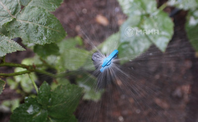 dau-tuoi-phun-mua-cfd-downspray-khi-phun-thuc-te (1)