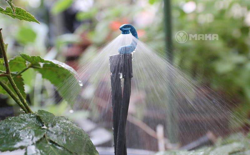 dau-tuoi-phun-mua-cfd-downspray-khi-phun-thuc-te (2)