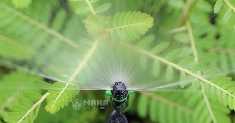 dau-tuoi-phun-mua-fan-180-xanh-la-dang-phun