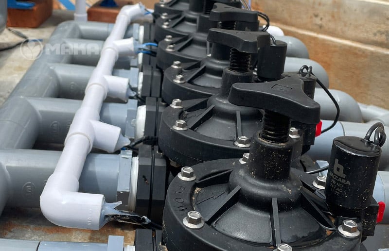 van-dien-tu-baccara-duoc-lap-dat-trong-he-thong-tuoi