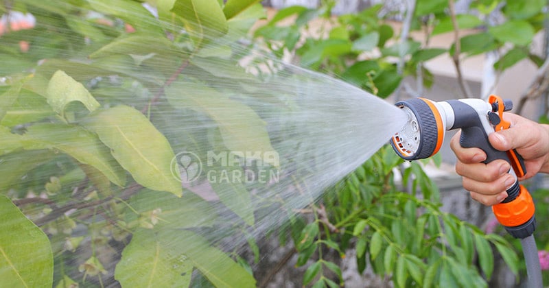 voi-tuoi-cam-tay-gf3923-khi-hoat-dong