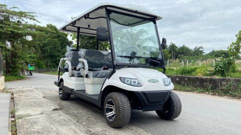 Báo giá xe điện du lịch mới nhất 2026