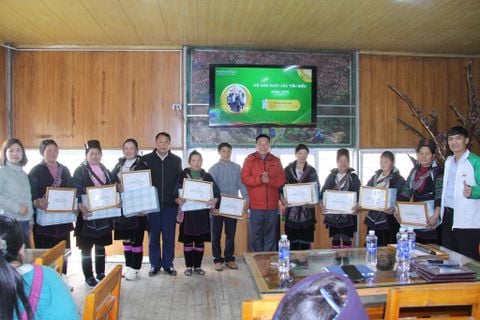 Tổng kết Vùng trồng Actiso 2025 – Vượt Thách Thức Thời Tiết, Vinh Danh 