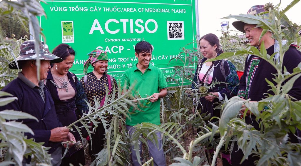 Trồng dược liệu, người Mông cất nhà gỗ tiền tỷ, cho con đi học nước ngoài