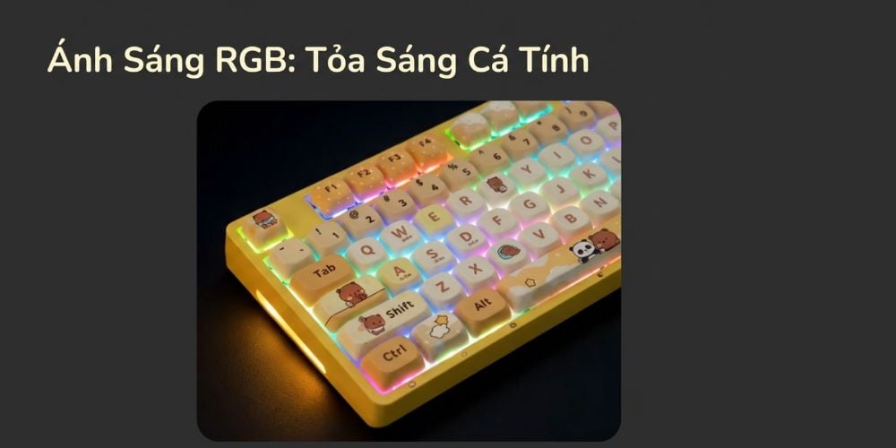Hình ảnh sản phẩm