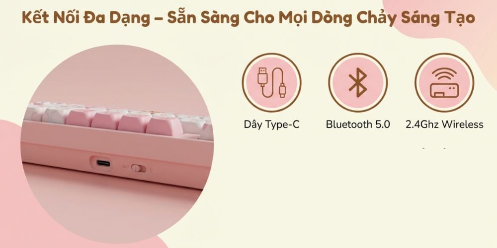 Hình ảnh sản phẩm